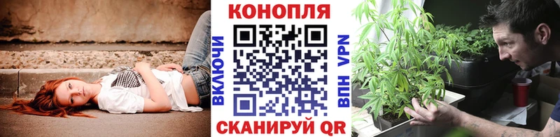 Где купить наркоту Южа OMG зеркало МЕФ Гашиш A PVP АМФЕТАМИН