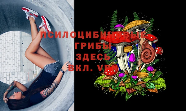 герыч Куйбышев