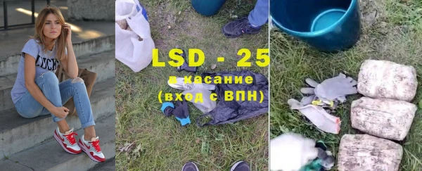 СК Кукмор