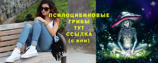 СК Кукмор