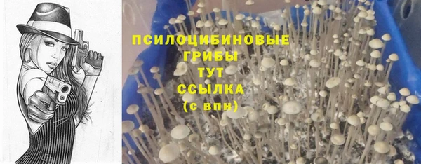 СК Кукмор