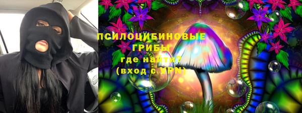 СК Кукмор