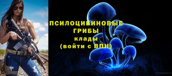 СК Кукмор